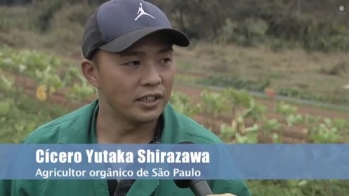 video produzido em sao paulo produtor organico cicero shirazawa